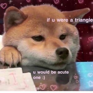 Meet your Posher, Juliana